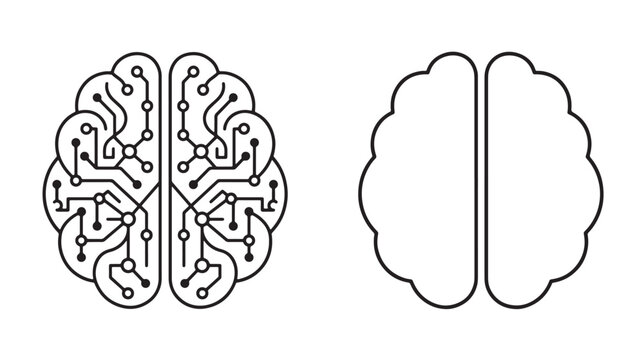 Two human brain one featuring a complex circuit board pattern and the other a simple smooth outline, isolated on a white background, for tech concepts