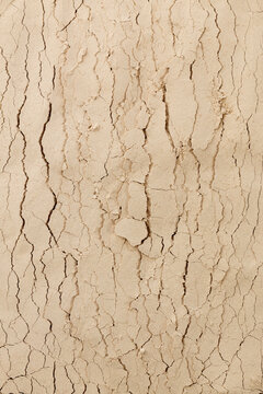 Still Life Texture of Cracked Pale Dry Soil
