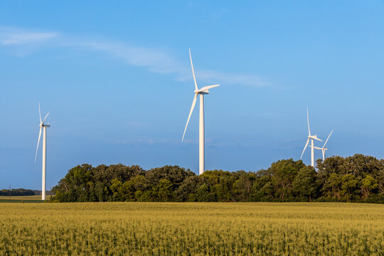 Full frame landscape view of giant wind-powered electrical generators in an agricultural field on a sunny day, with copy space
