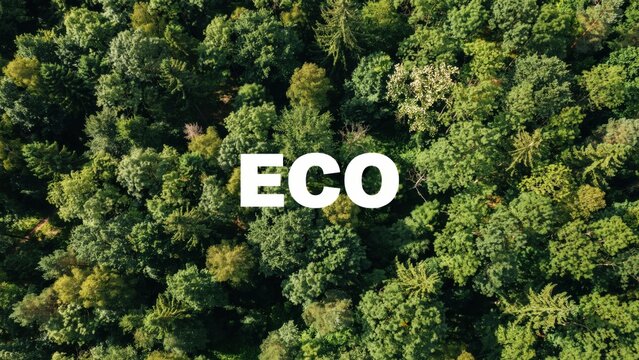 Aerial view of lush green forest with eco text overlay