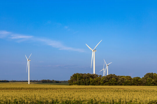 Full frame landscape view of giant wind-powered electrical generators in an agricultural field on a sunny day, with copy space