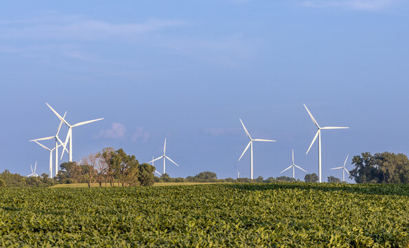 Full frame landscape view of giant wind-powered electrical generators in an agricultural field on a sunny day, with copy space