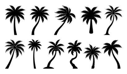 Fototapeta premium Palm Tree Silhouette Vector Set – Tropical Coconut Tree Collection Isolated on White