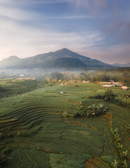 Mountain Landscape at Sunrise with Morning Mist and Golden Light © hary