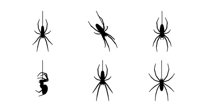 Spider Silhouettes Vector Icons, Arachnid Web Dangler Graphics, Creepy Crawly Insect Illustrations
