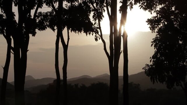 Bright glowing sun shining through silhouetted tree trunks against mountain horizon during golden hour. Dramatic sunset nature atmosphere.