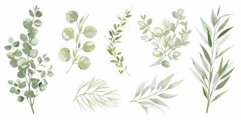 collection of individual watercolor botanical sprigs on white background plants leaves greenery flora herbs eucalyptus fern nature artwork illustration design pattern decorative organic © Ranajit