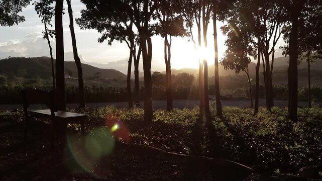 Golden sunset sunbeams shining through trees with lens flare and a wooden bench. Cinematic atmospheric nature campsite scenery.