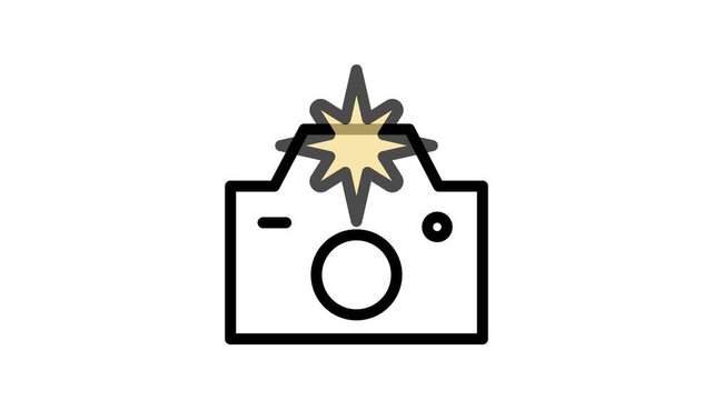 camera flash Icon animation