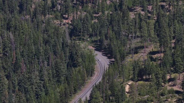 Wide aerial of Highway 97 through Okanogan Wenatchee National Forest with paved scenic highway cutting through dense coniferous forest in summer in Washington