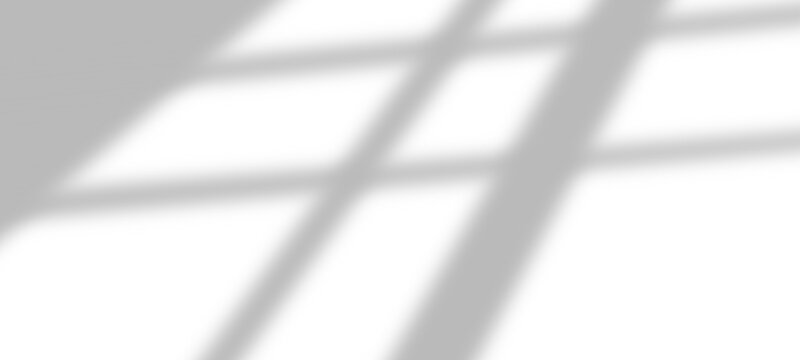window light shadow with leaves branch silhouette on down right and abstract metal background