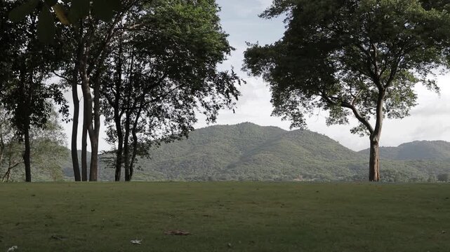 Spacious green lawn campsite framed by large trees with lush mountain background. Scenic outdoor nature landscape.