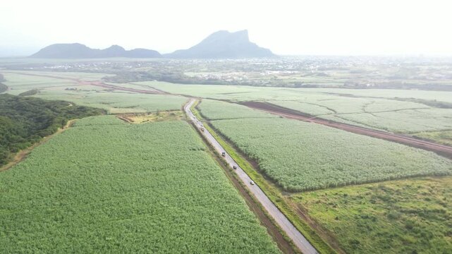 Drone aerial flight over geometric sugarcane plantations in Mauritius. A straight dirt road cuts through the green agricultural fields towards the hazy silhouette of Montagne du Rempart.