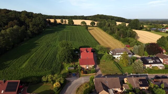 Sunset light bathes German suburb bordering green cornfield and golden wheat fields, red-tiled houses with solar panels line quiet tree-shaded street below rolling hills. Aerial drone flyover shot