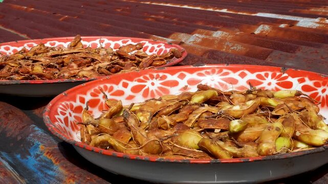 Tamarind pods drying in red patterned trays on a rusty metal roof