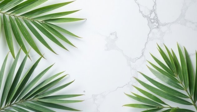 Pastel gray backdrop with palm leaves & marble paper Summer minimal aesthetic , texture, minimal