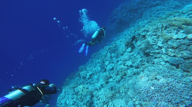 Scuba diving excursion with divers swimming along coral reef slope at depth