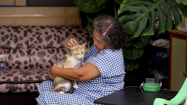 Happy Asian senior woman sitting on a chair and petting her cute cat in the garden at home, enjoying peaceful retirement lifestyle.