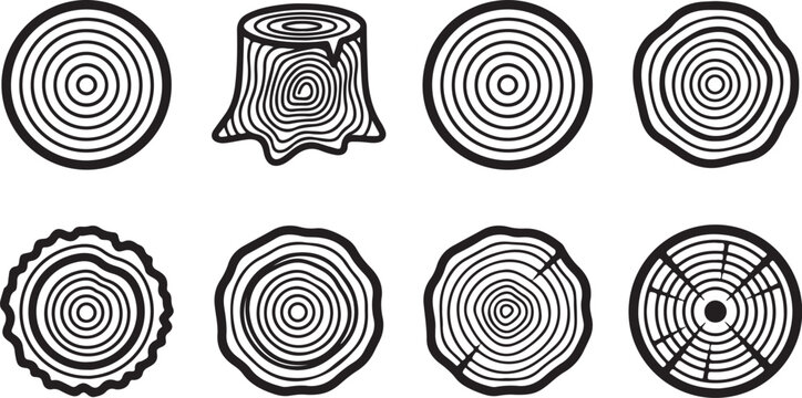 Various tree stump cross sections with rings illustration Vector