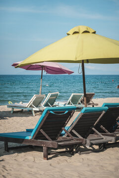 Hoi An Beach Resort, Palm Trees, Natural Scenery