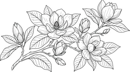 Vintage magnolia flower line art vector, botanical blossom branch with leaves, elegant black and white floral sketch for wedding invitations © usman