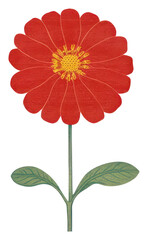 Obraz premium PNG Red zinnia flower petal plant inflorescence.