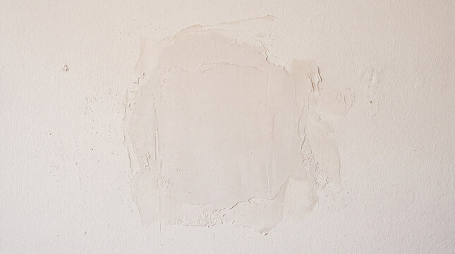 Fresh spackle patch feathered onto a painted wall before repainting
