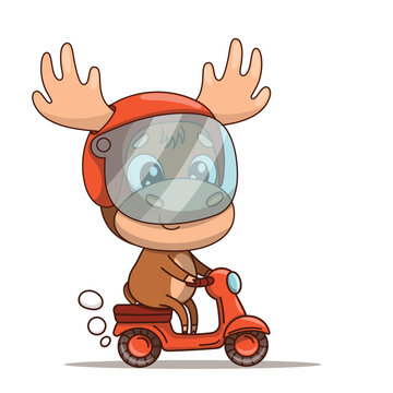 Adorable flat style moose character with clean outline riding a scooter while wearing a safety helmet. Cute woodland animal vector illustration perfect for transportation themes road safety