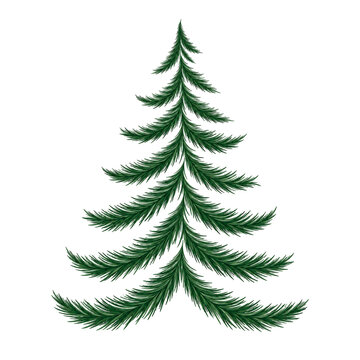 Stylized hand drawn green pine tree illustration isolated on transparent background