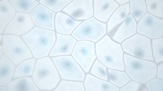 Abstract cellular structure with nuclei