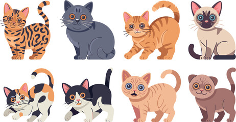 Fototapeta premium Art & IllustrationCute Full Body Cat Breeds Vector Set with Playful Kittens in Various Poses for Children Books, Stickers, Greeting Cards, and Pet Care Designs