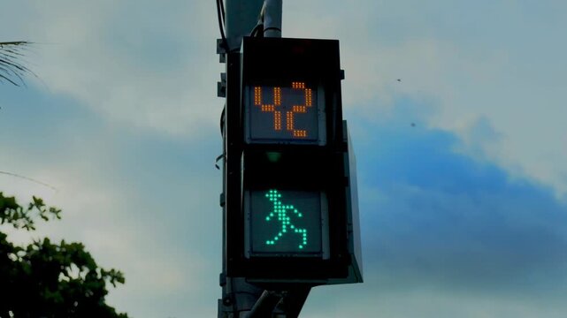 台湾の動画式歩行者用信号機（動畫式行人專用號誌）