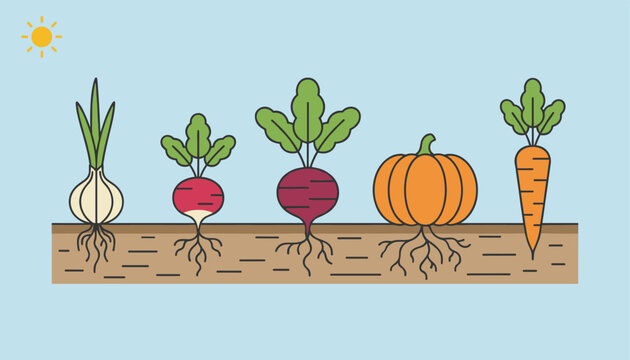 Organic root vegetables like carrots, beets, and radishes grow in fertile soil under a bright shining sun.