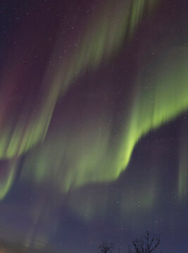 Aurora on a winter night