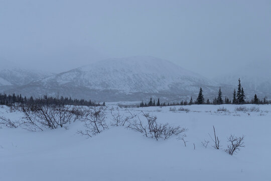 Mountain on foggy day in Alaska