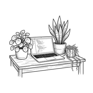 Home Office Plants Laptop For Green Workspace Blog