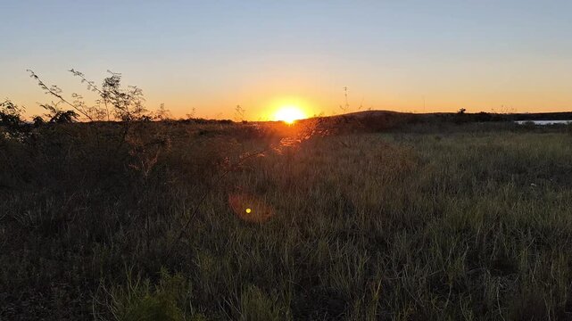 Golden Sunset Over Open Fields and Tranquil River
