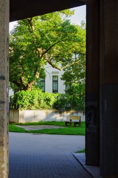 house in the garden