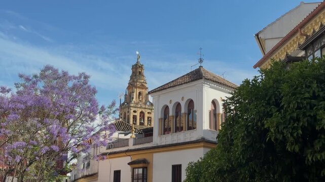 Static 4K shot of C&oacute;rdoba&rsquo;s historic bell tower rising above traditional buildings, framed by a blooming jacaranda tree under a clear blue sky in daylight.