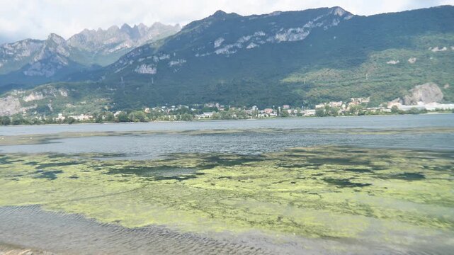 Adda River covered in algae amidst water shortage, Lecco, Italy

