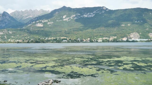 Lecco lake covered in algae amidst water shortage, Lecco, Italy