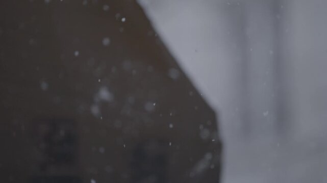 A close shallow focus shot of snowflakes falling in front of an out of focus Parisian building facade, creating a soft dreamy winter mood.