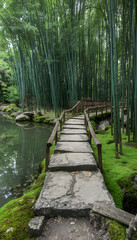Fototapeta premium wooden bridge in the forest