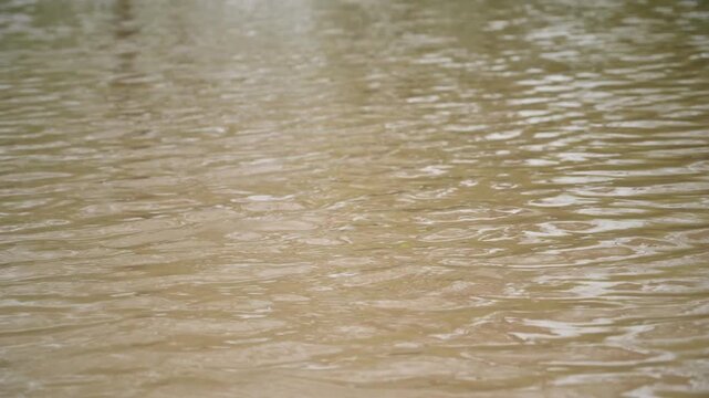 Raindrops Creating Ripples on Floodwater Surface in Thar Desert, Tharparkar Pakistan | Monsoon Rain 4K Footage