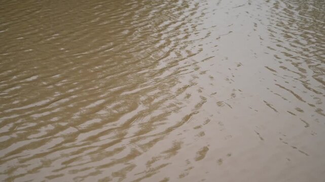 Raindrops Creating Ripples on Floodwater Surface in Thar Desert, Tharparkar Pakistan | Monsoon Rain 4K Footage