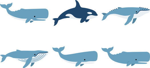 Flat Vector Whale Icon Set Featuring Sperm Whale, Orca Killer Whale, and Humpback Varieties for Marine Biology, Ocean Education, and Nature Conservation Graphics © Hazara