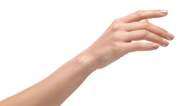 Graceful female arm reaching forward isolated