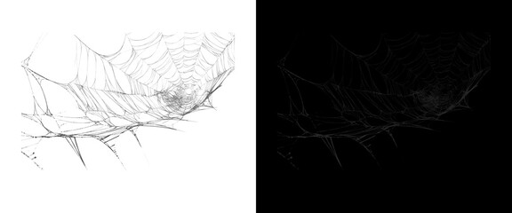 Fototapeta premium Intricate spider web isolated on white and black background, fragile cobweb texture for Halloween design, spooky spiderweb overlay for horror concepts