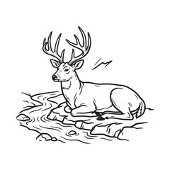 Naklejka premium A male deer resting by a peaceful river bank