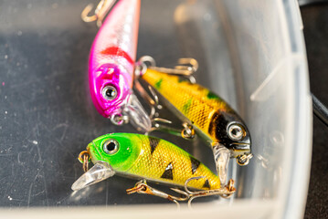Bright pink green and yellow crankbaits in plastic tray The Concept of angling equipment and preparation © VicVaz
